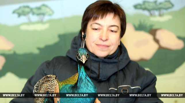 Ирина Орлова с талисманом года