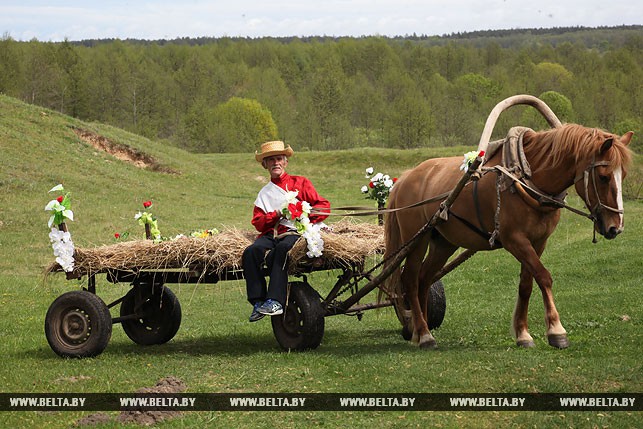 В роли свадебного извозчика выступил пенсионер из Добруша Виктор Лукьянцев и его лошадь "Лыска".