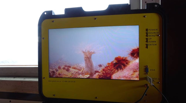 На фото полярники изучают подводный мир на экране аппарата "Гном"