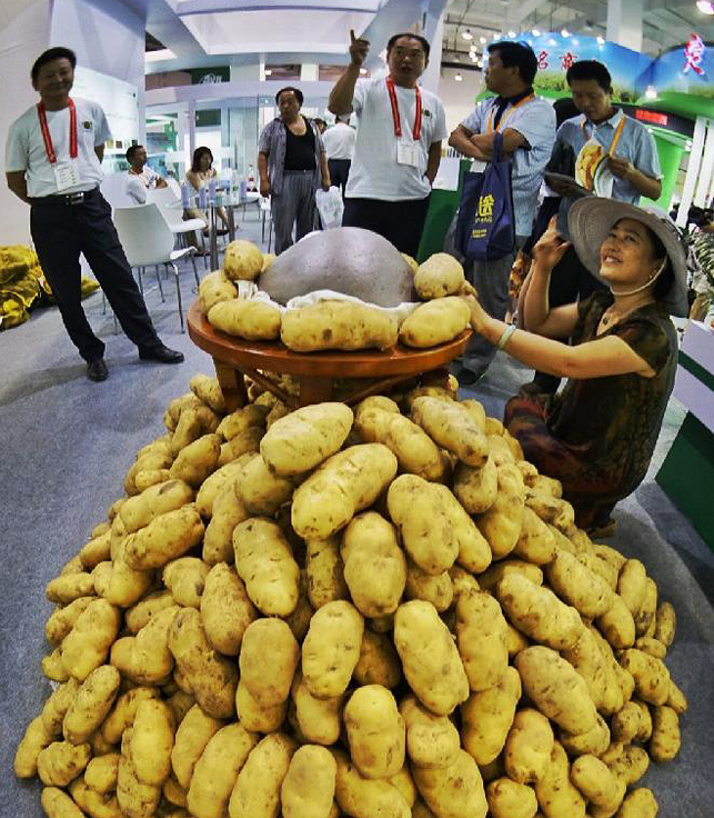 Всемирный картофельный конгресс