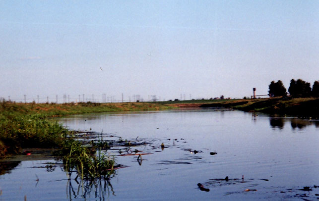 Река Ореса в г. Любань