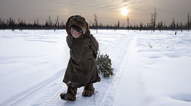 На краю света (Ямал, Сибирь) - первое место в категории "Путешествия и приключения". Фото Alessandra Meniconzi
