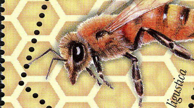 Марка Румынии с изображением итальянской пчелы Apis mellifera ligustica
Public domain