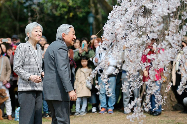 Японский император Акихито вместе с супругой, императрицей Митико, любуются сакурой в парке Киото. Фото <noindex><a href="https://www.jiji.com/" target="_blank" rel="nofollow">Jiji News Agency</a></noindex>
