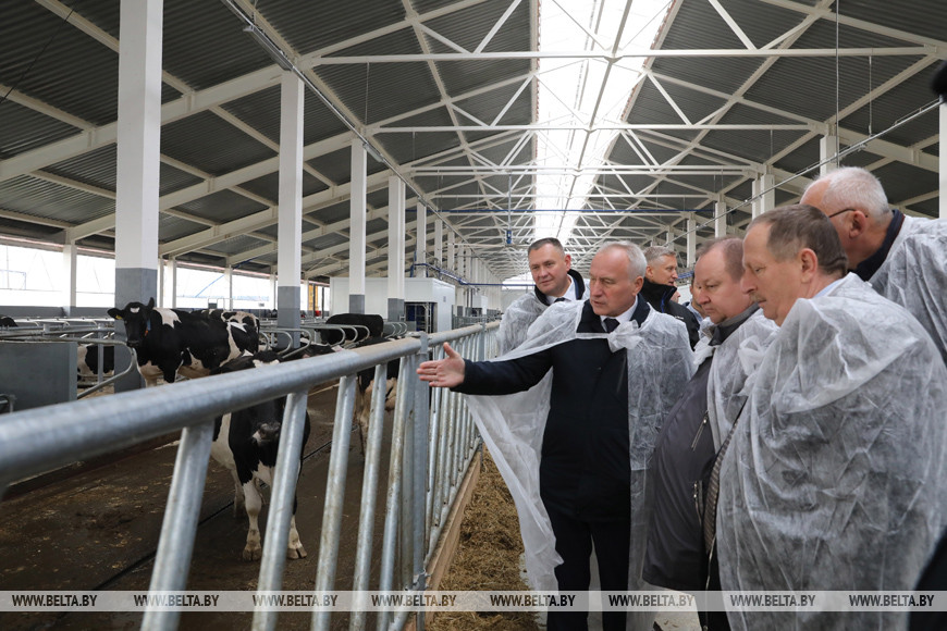 Николай Шерстнев во время посещения новой молочно-товарной фермы на 1210 голов в Стайках