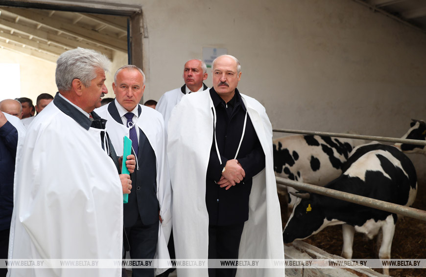 Александр Лукашенко во время посещения комплекса "Мишутки" унитарного предприятия "Рудаково"
