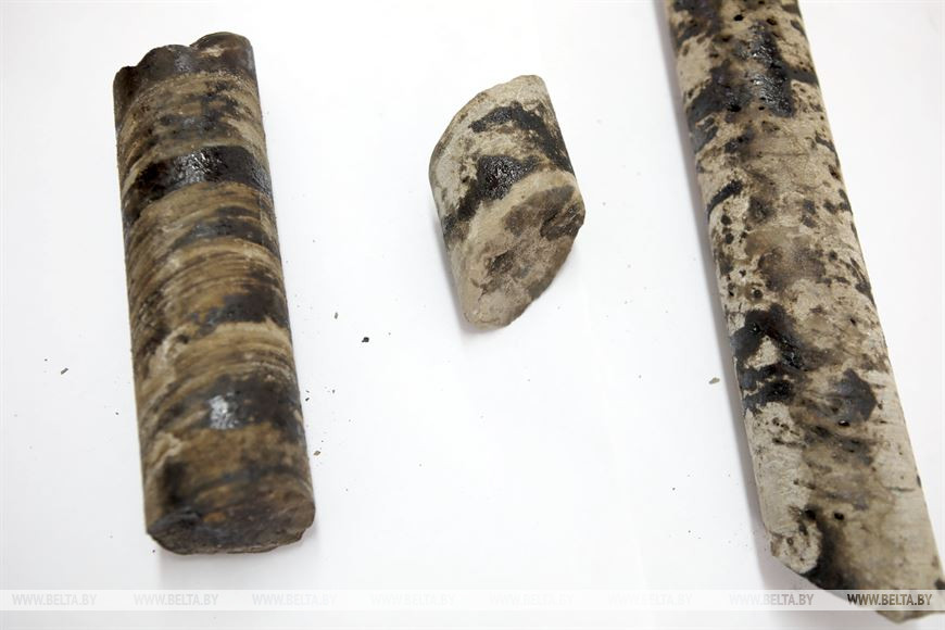 Образцы породы из грунта на Северо-Омельковщинском месторождении