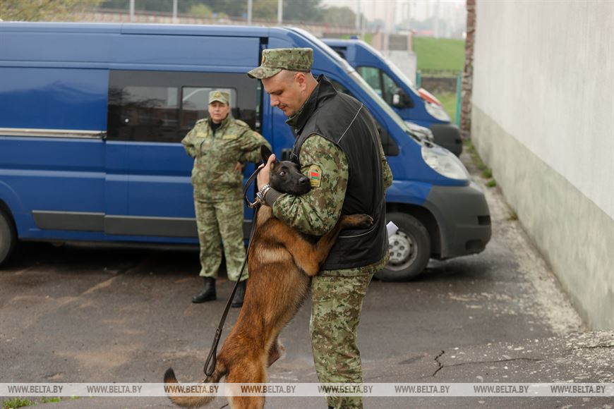 Во время соревнований Во время соревнований