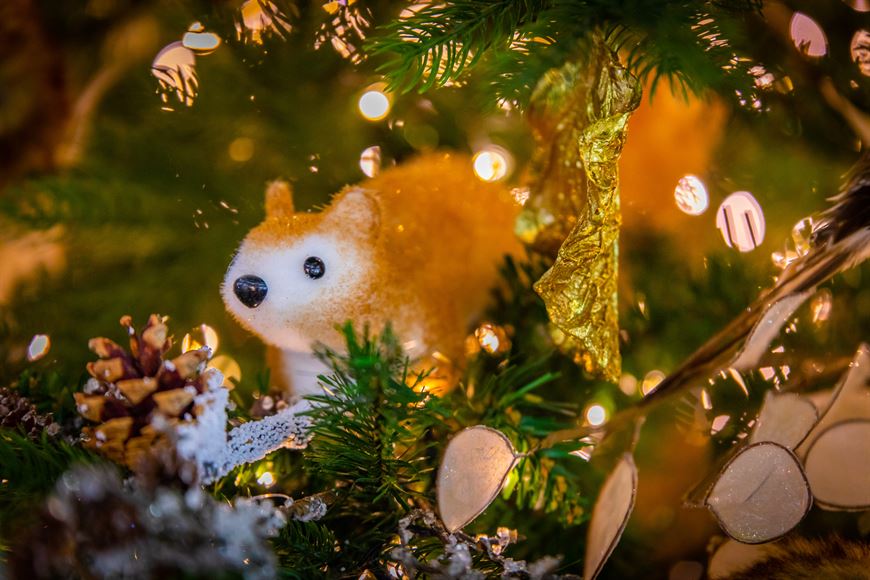 Потрясающая новогодняя ель создает праздничное настроение! Потрясающая новогодняя ель создает праздничное настроение!