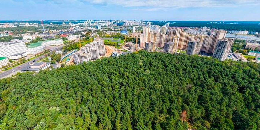 Жилой комплекс "Парк Челюскинцев" строится у самых границ огромного паркового массива в центре города