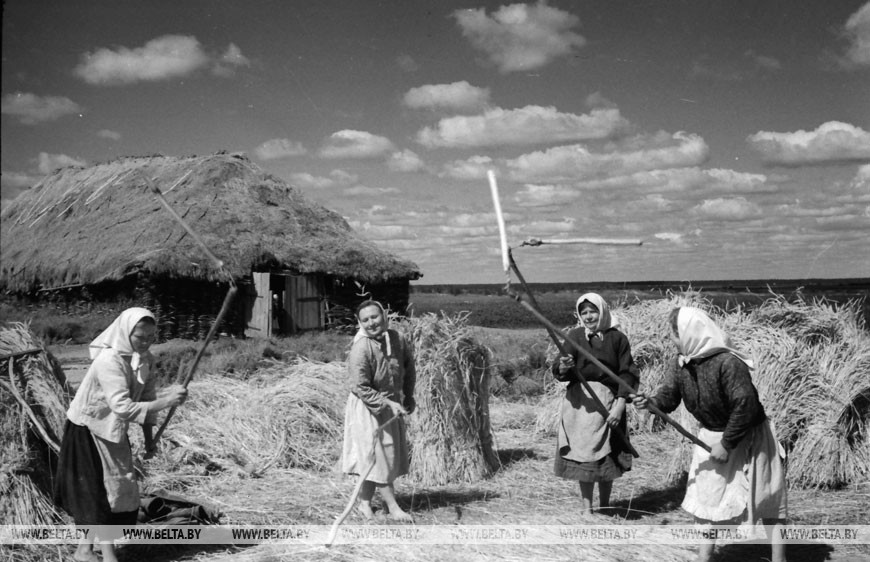 Так начинали свою послевоенную жизнь колхозы Гомельщины, 1944 год