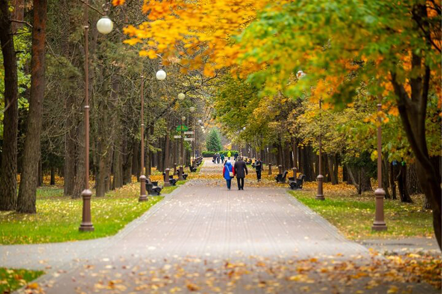 Жители комплекса могут прогуляться среди зелени деревьев или заняться спортом на свежем воздухе