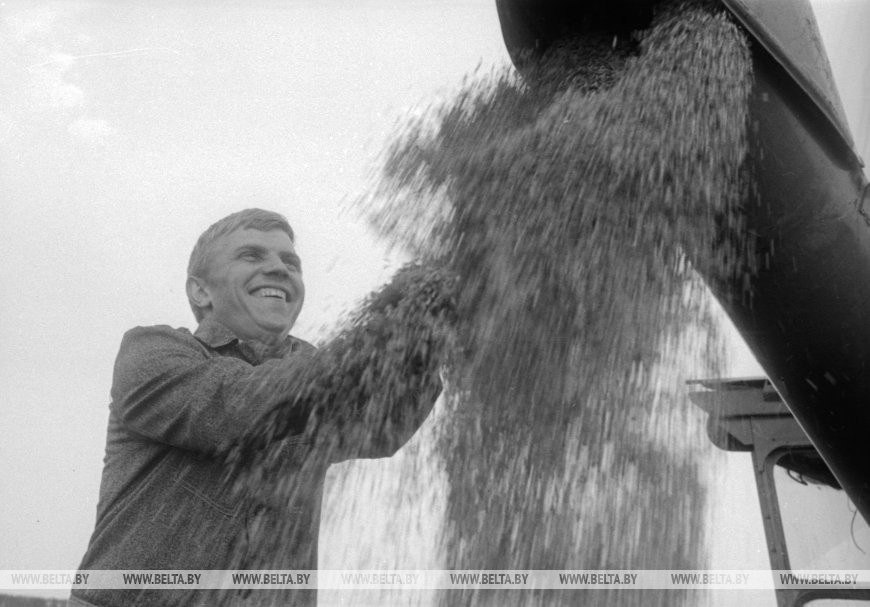 Звеньевой комсомольского экипажа Георгий Кондратьев радуется золотому потоку, ордена Трудового Красного Знамени колхозе имени Кирова Шкловского района, 1977 год