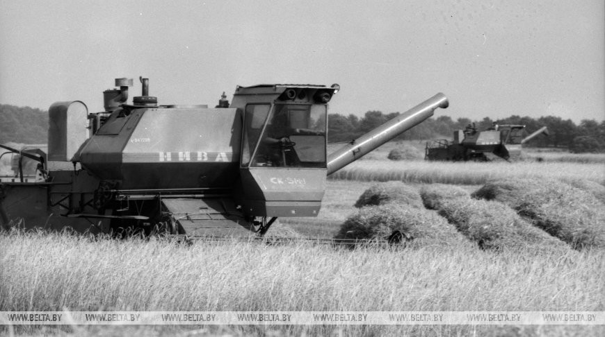 Уборка зерновых в колхозе «Победа» Каменецкого района, 1991 год