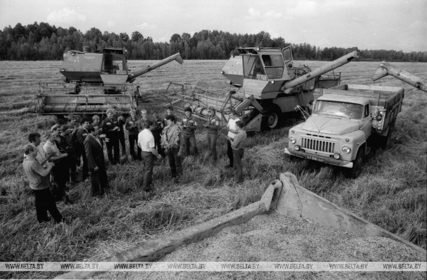Стройотряд Мозырского пединститута им. Н.К. Крупской: после завершения уборки – поздравление победителей, совхоз "Каменка" Мозырского района, 1984 год