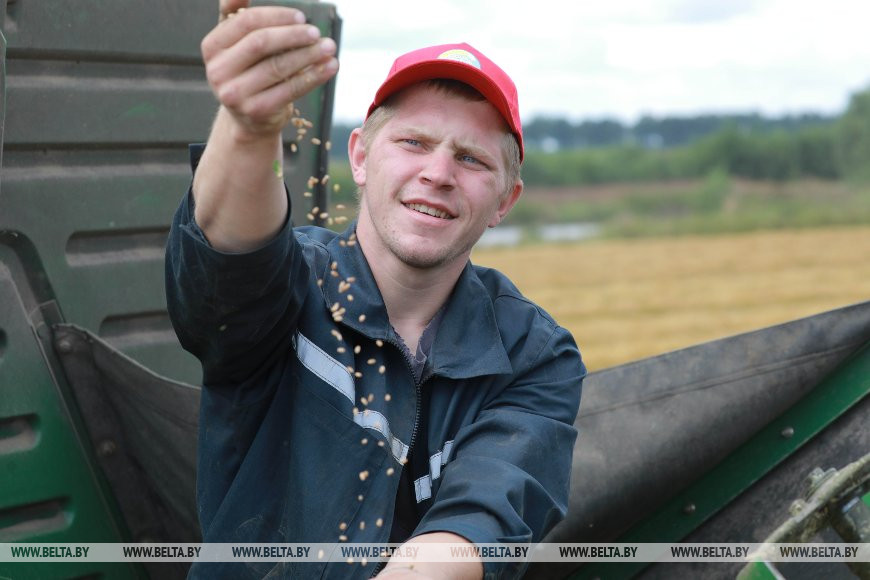 Комбайнер Сергей Дрозд из ОАО "Рассвет имени К.П.Орловского" Кировского района, 2020 год