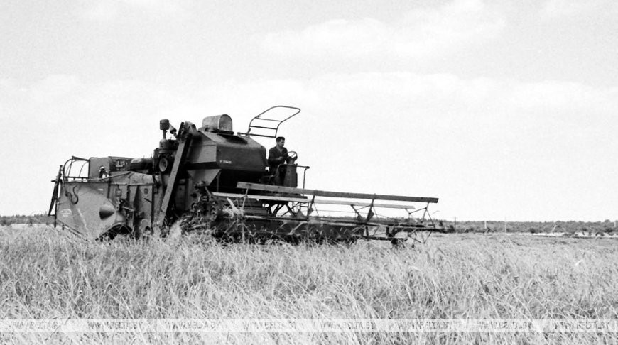 Уборка озимой ржи в колхозе им.К.Либкнехта, 1972 год