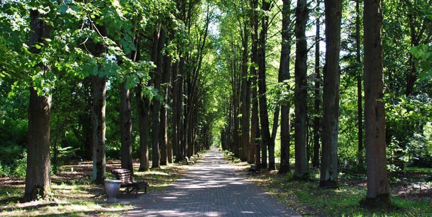 Можно в любой момент прогуляться по аллеям парка, а детям понравятся многочисленные аттракционы и Детская железная дорога Можно в любой момент прогуляться по аллеям парка, а детям понравятся многочисленные аттракционы и Детская железная дорога