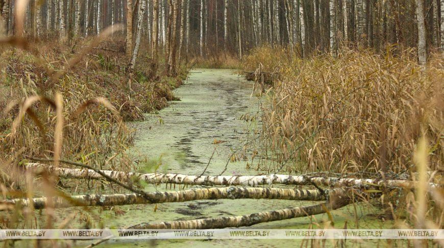 Фото из архива