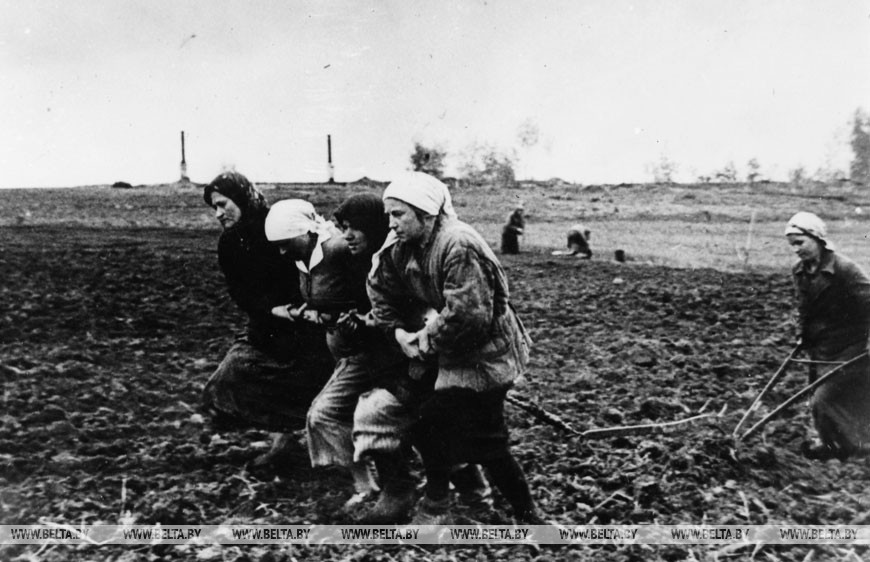 Белорусская деревня во время войны. Крестьянки пашут землю, репродукция Белта
