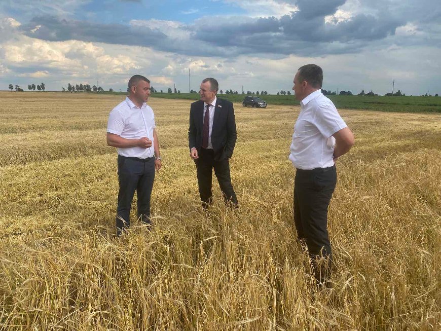 Фото Совета Республики