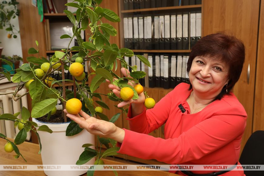 Лидия Осипенкова и ее мандарины