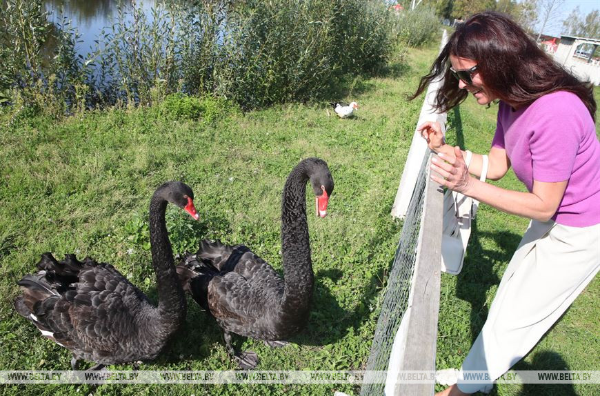Директор музея Дворцово-паркового ансамбля Румянцевых и Паскевичей Оксана Торопова во время своего питмоца - черного лебедя, который проходит реабилитацию и восстановление в новом центре экологического туризма