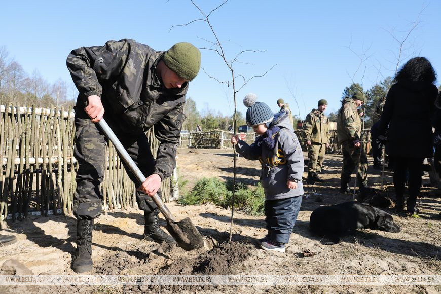 Гвардии старший сержант Роман Дмитрук вместе с братом высаживают деревья