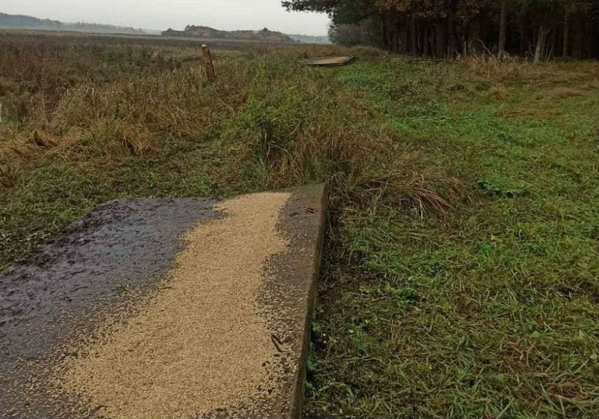 Фото npbp.by Фото npbp.by