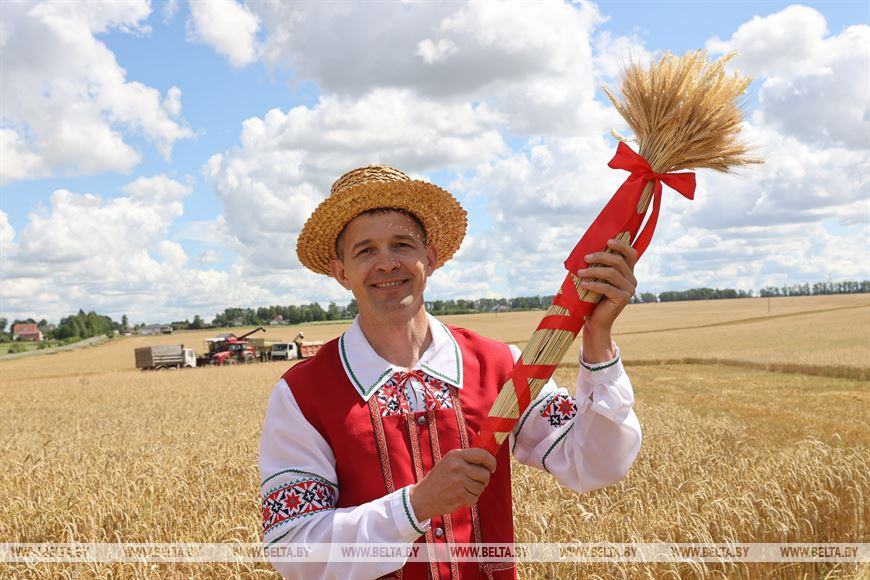 Сноп нового урожая в руках специалиста Лиозненской хлебной базы Андрея Демедчика Сноп нового урожая в руках специалиста Лиозненской хлебной базы Андрея Демедчика