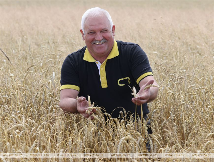 Комбайнер Ошанского комбината хлебопродуктов Сергей Греков Комбайнер Ошанского комбината хлебопродуктов Сергей Греков
