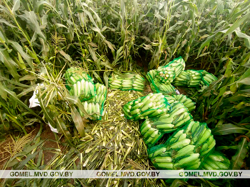 Фото УВД Гомельского облисполкома