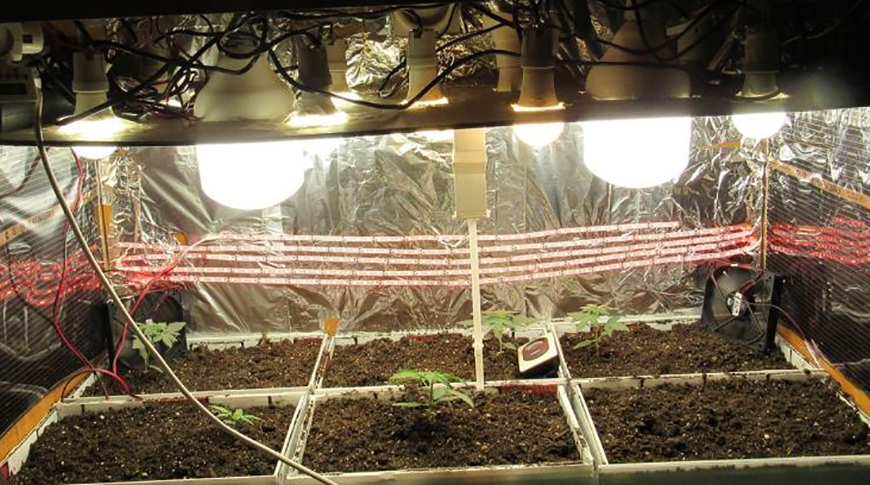 Фото Минской региональной таможни Фото Минской региональной таможни