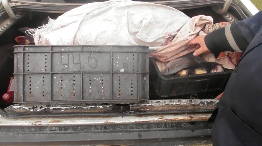 Фото Государственной инспекции охраны животного и растительного мира