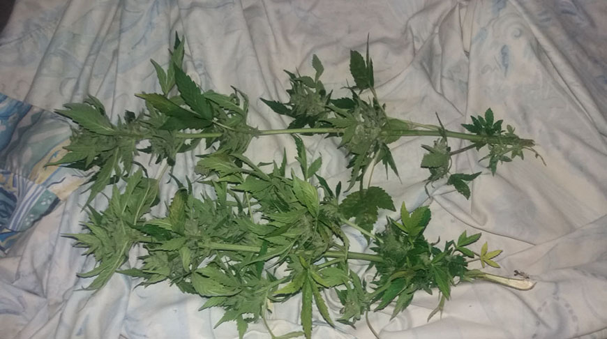 Фото МВД Фото МВД