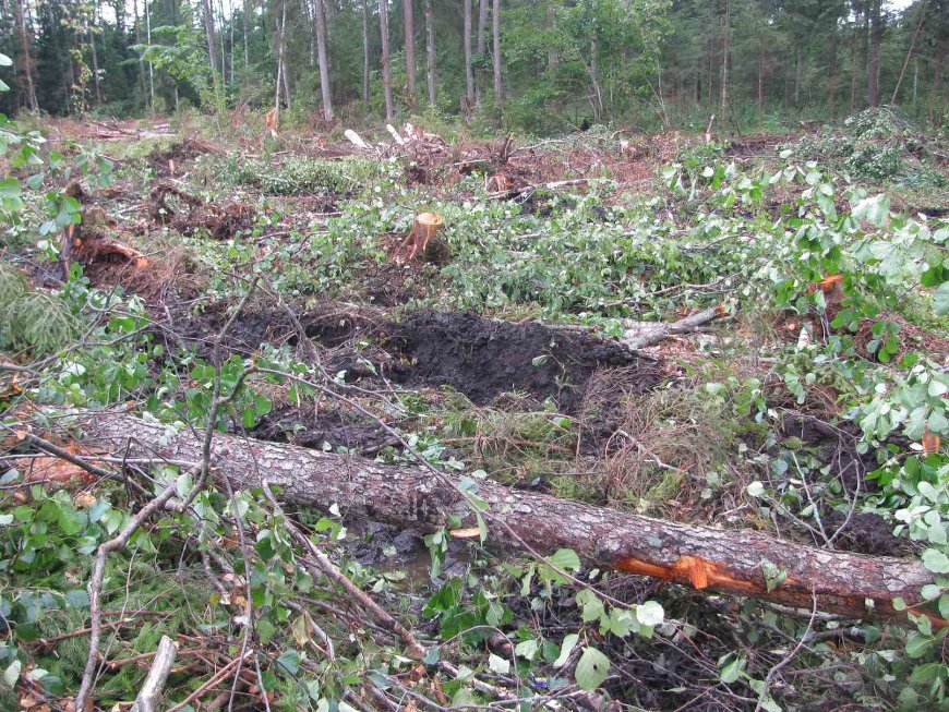 Фото УСК по Витебской области