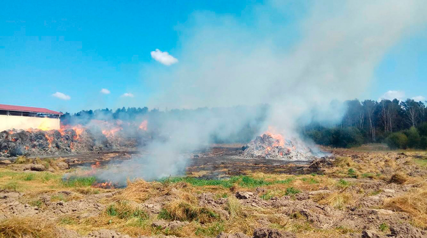 Фото Гродненского областного управления МЧС