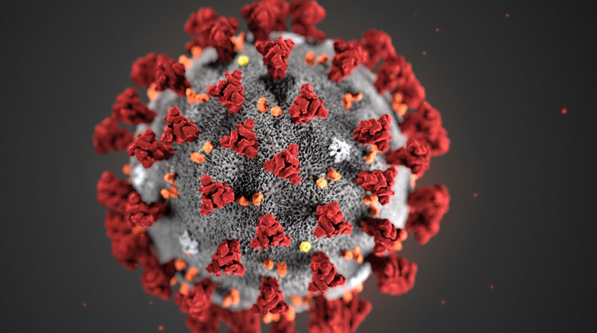 Цифровое изображение коронавируса 2019-nCoV. Фото Центра контроля и профилактики заболеваний