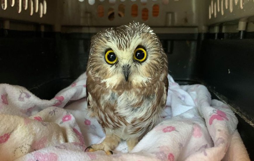 Фото HuffPost Фото HuffPost