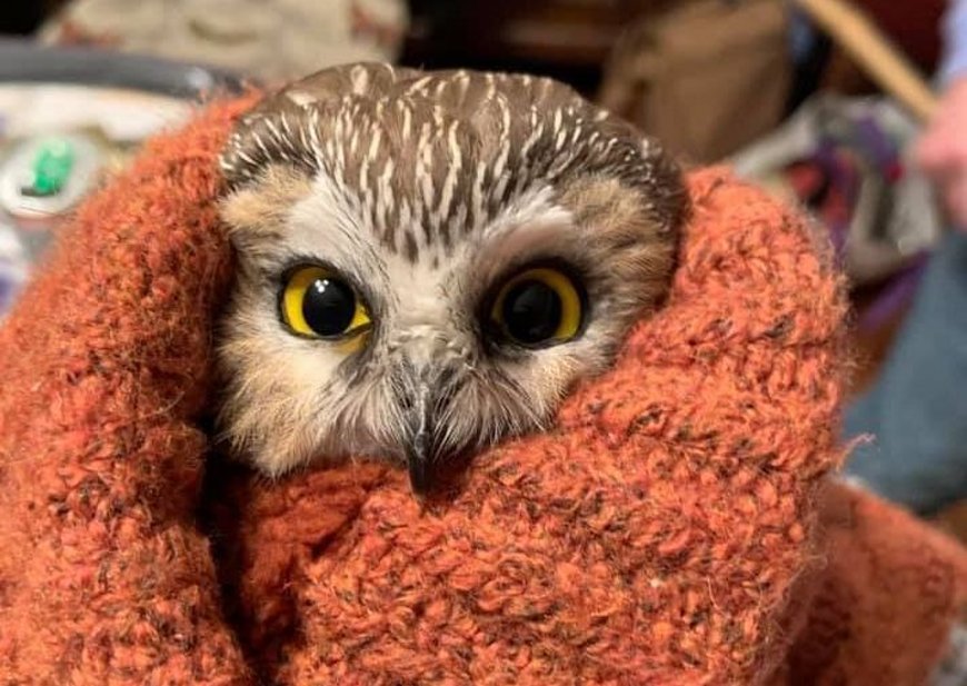 Фото HuffPost Фото HuffPost