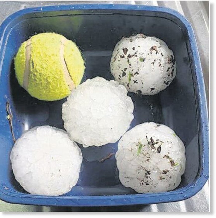 Фото News24 Фото News24