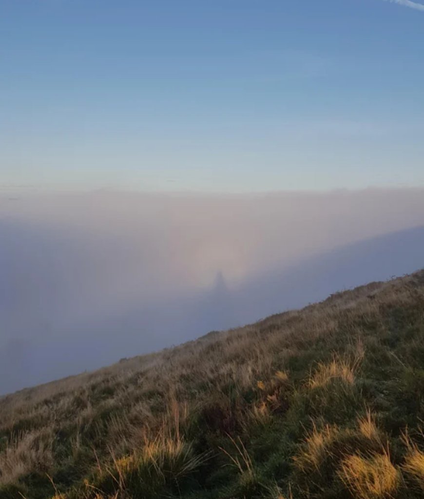 Фото Reddit Фото Reddit