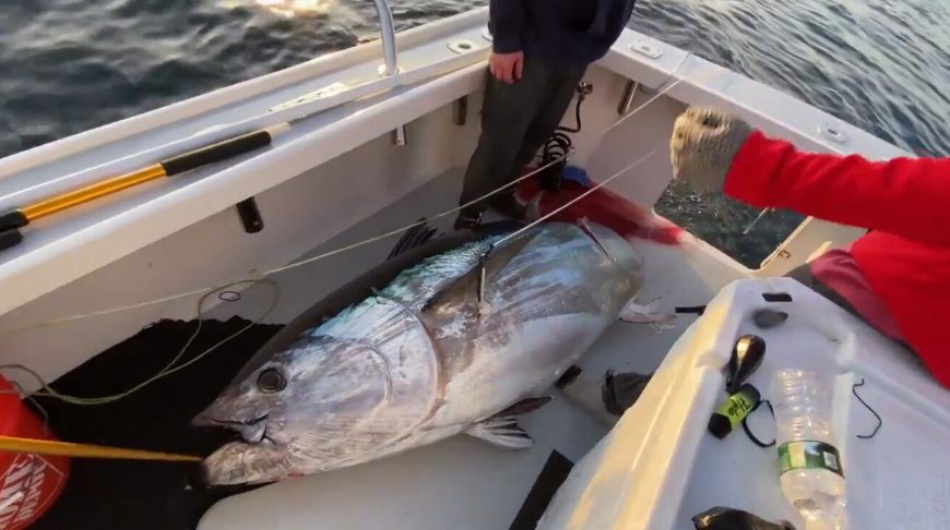 Фото DailyMirror