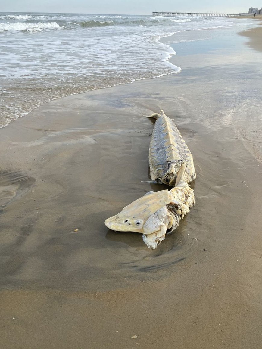 Фото Daily Press