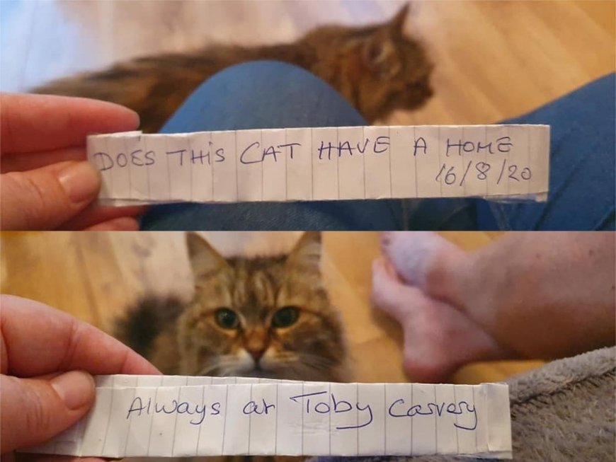 Фото Metro Фото Metro