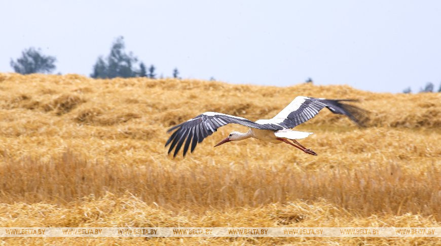 Фото из архива