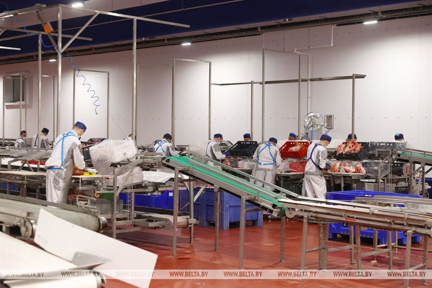 На предприятии "Белдан"