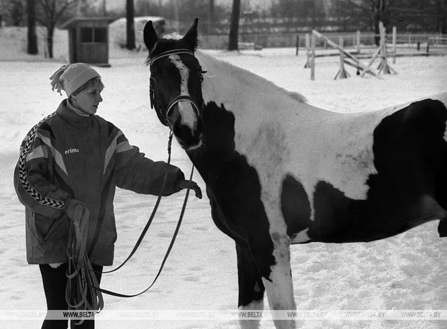 Гордость гомельской конно-спортивной школы - красавец «Цезарь». Так считает и тренер-наездник Татьяна Сысоева, 2000 год