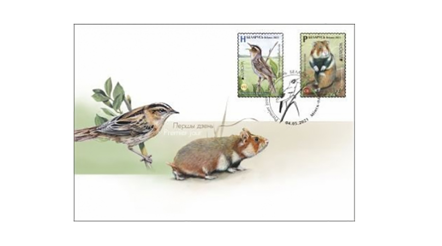 Фото Минсвязи Фото Минсвязи