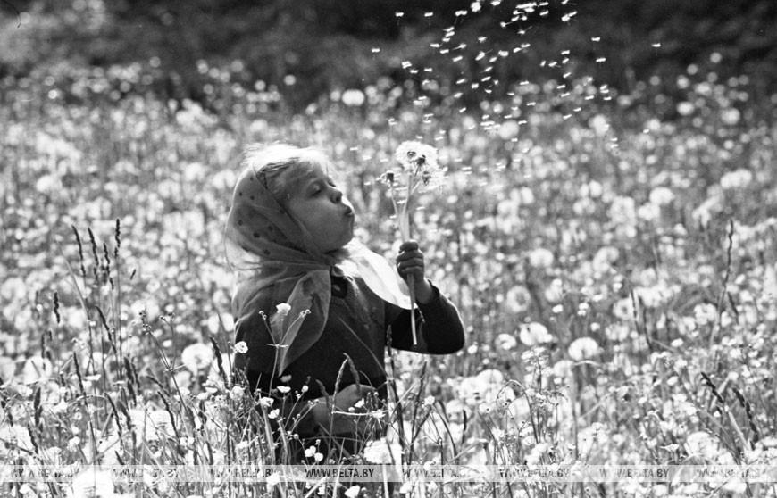 Девочка и одуванчики, 1991 год Девочка и одуванчики, 1991 год